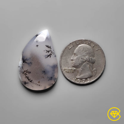 Dendritic Agate