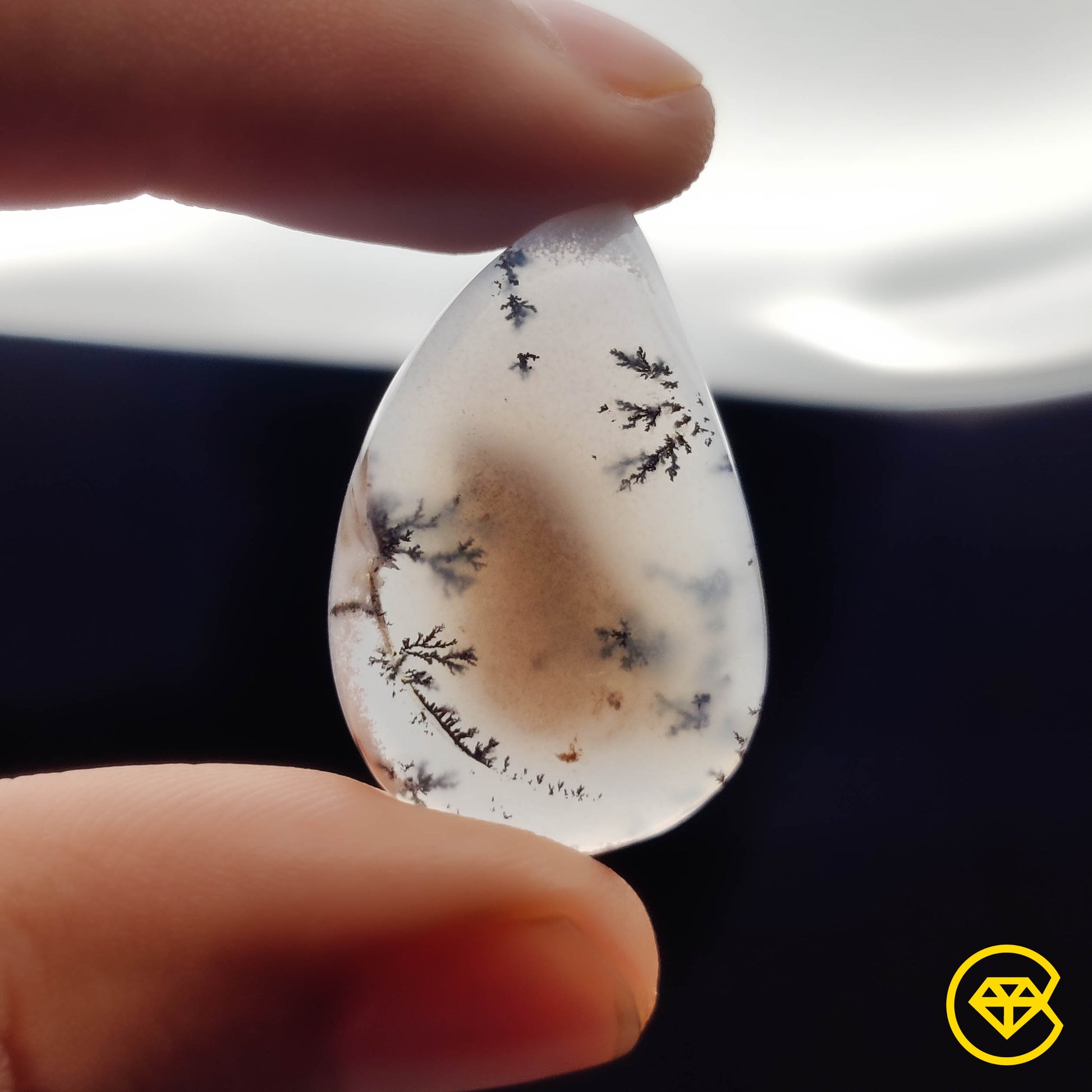 Dendritic Agate