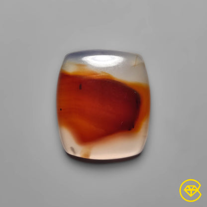 Montana Agate