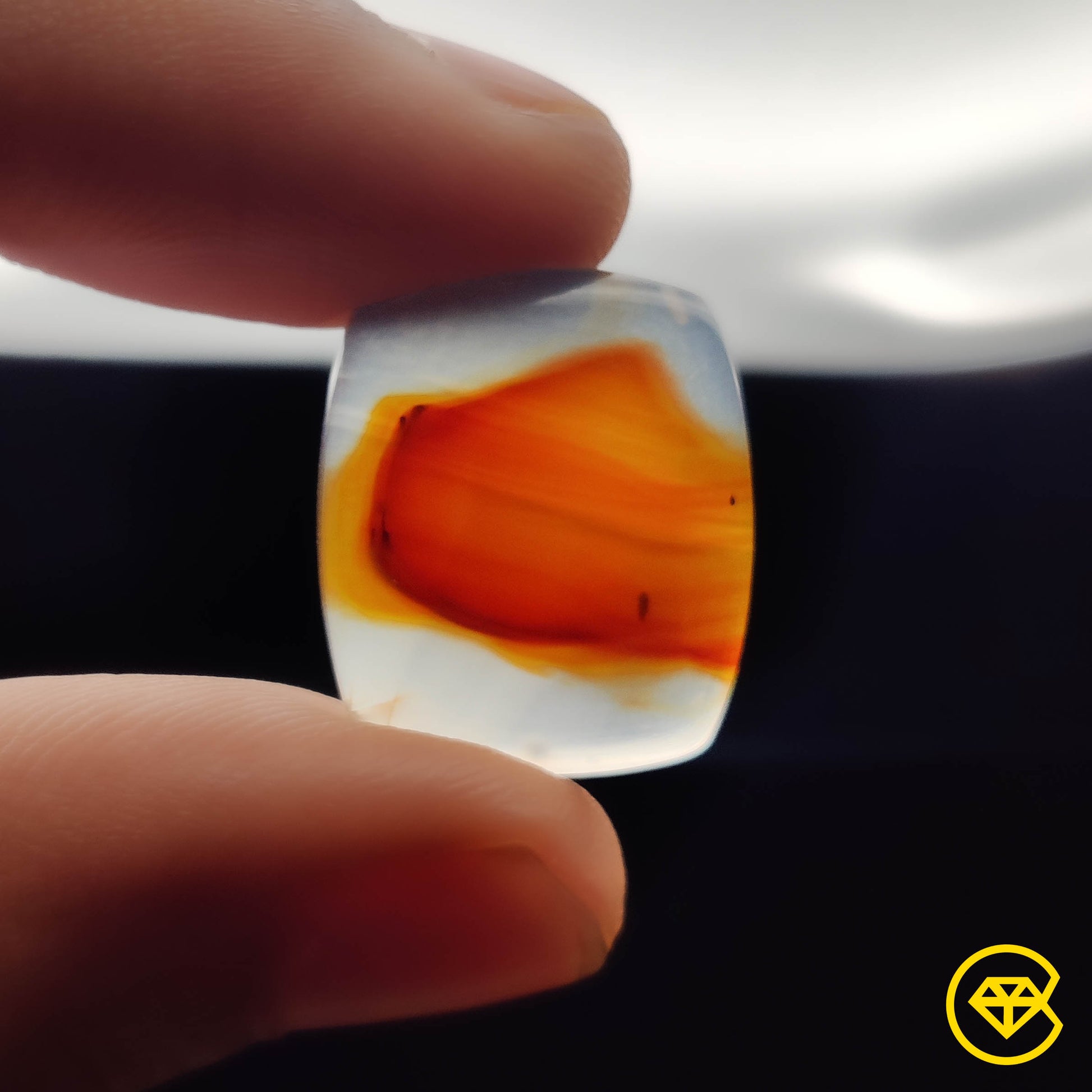 Montana Agate