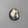 Abalone Shell|Shell