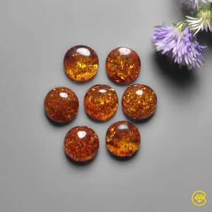 12 mm Baltic Amber Calibrated Cabochon Lot