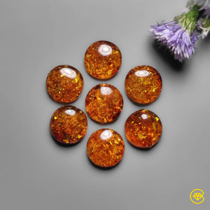 14X14 mm Baltic Amber Calibrated Cabochon Lot