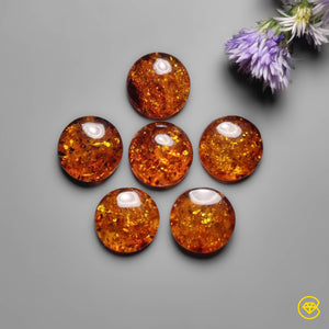 15X15 mm Baltic Amber Calibrated Cabochon Lot