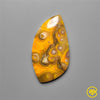 Bumble Bee Jasper
