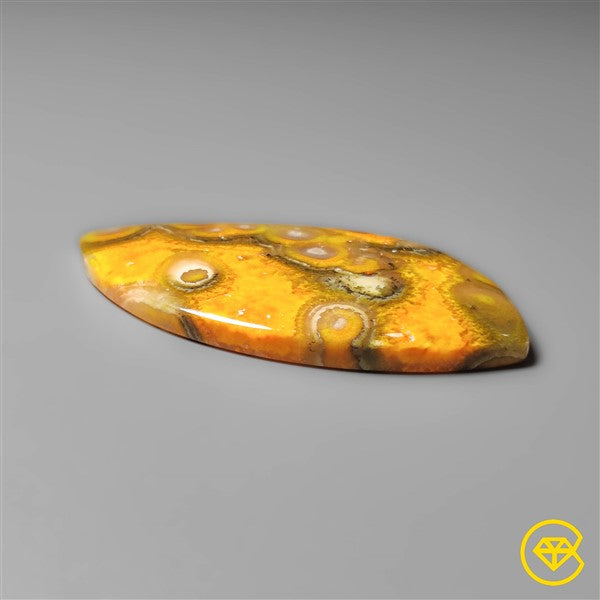 Bumble Bee Jasper