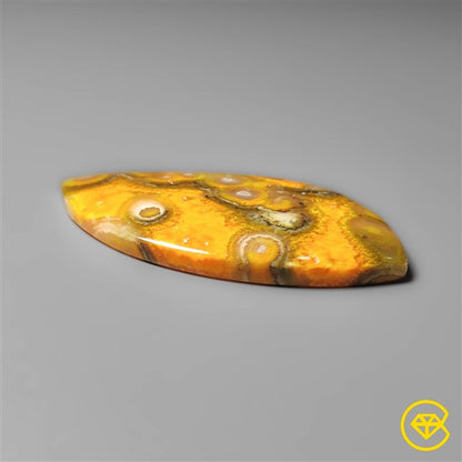 Bumble Bee Jasper