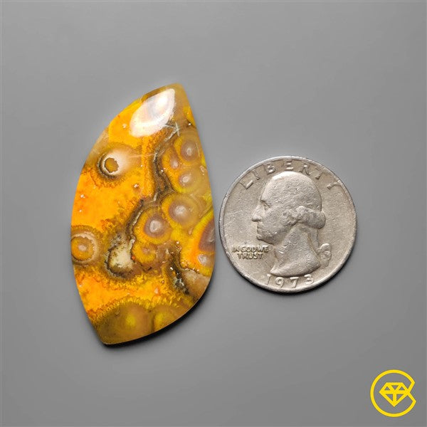 Bumble Bee Jasper
