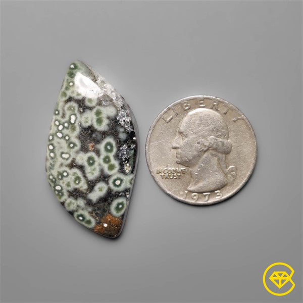 Ocean Jasper
