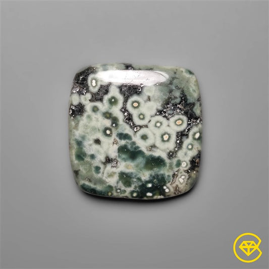 Ocean Jasper