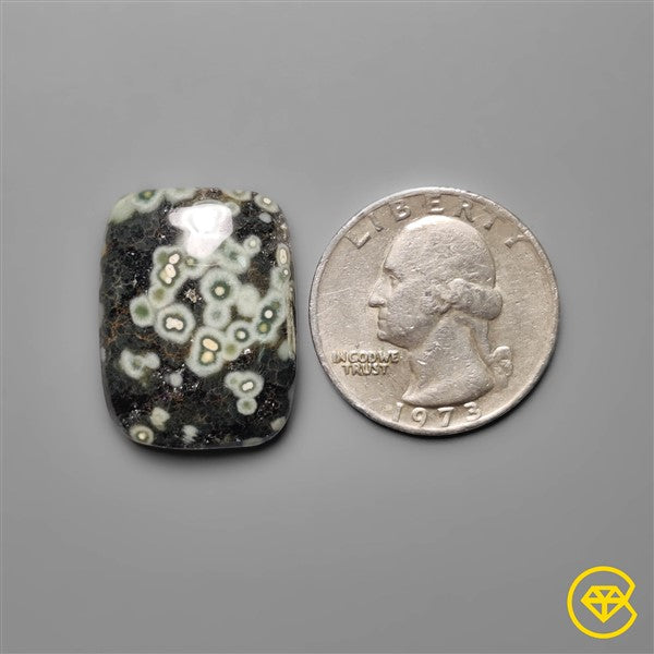 Ocean Jasper