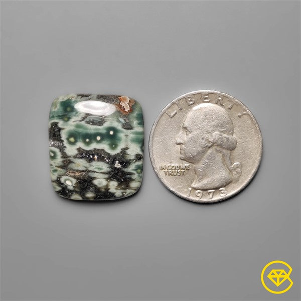 Ocean Jasper