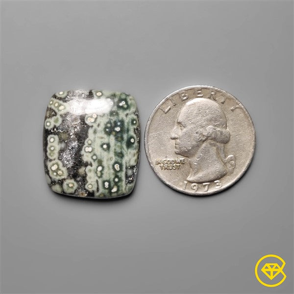 Ocean Jasper
