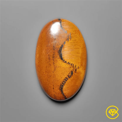 Tiger Eye