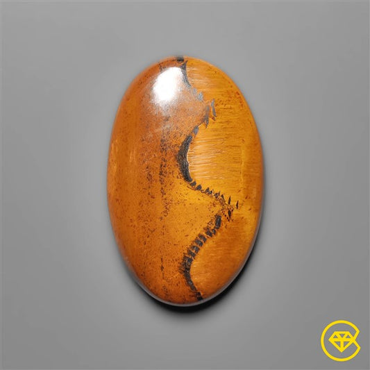 Tiger Eye
