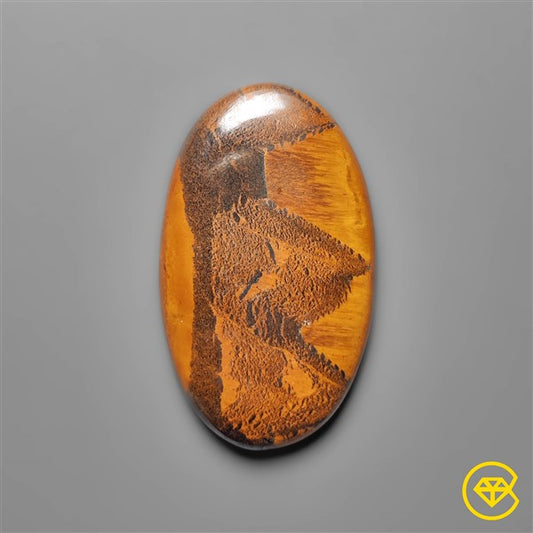 Tiger Eye