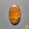 Tiger Eye