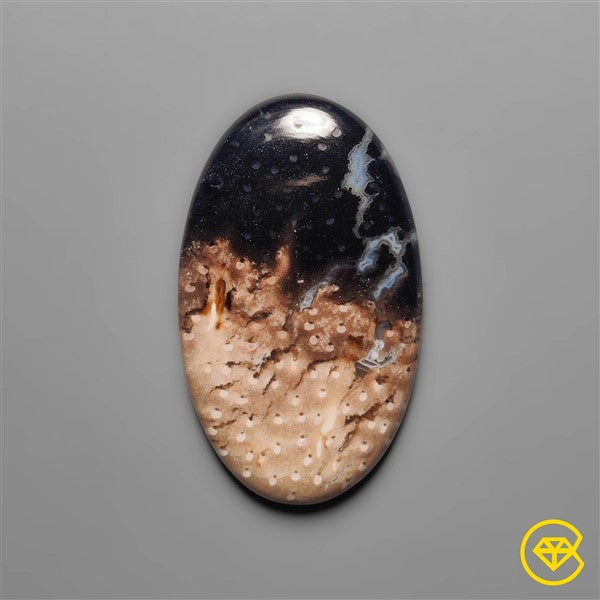 Palmroot Agate
