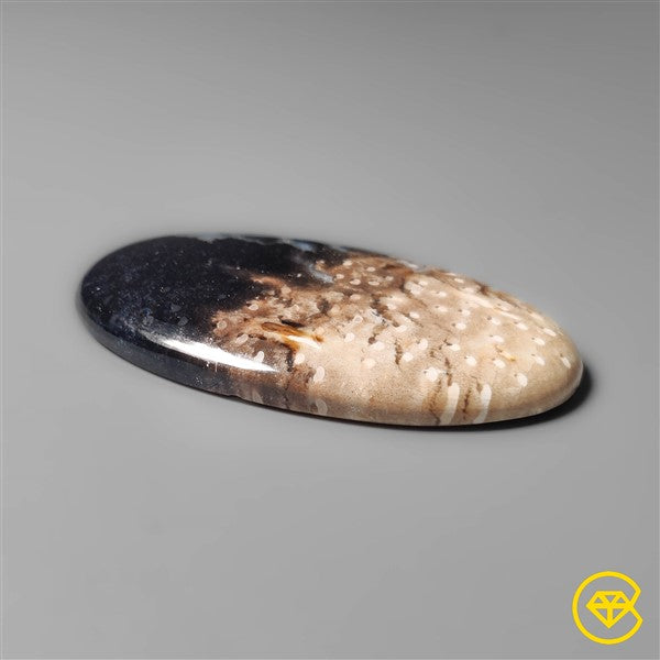 Palmroot Agate