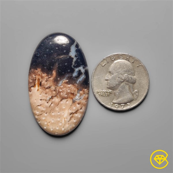 Palmroot Agate