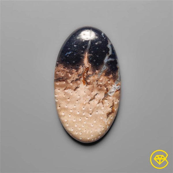 Palmroot Agate