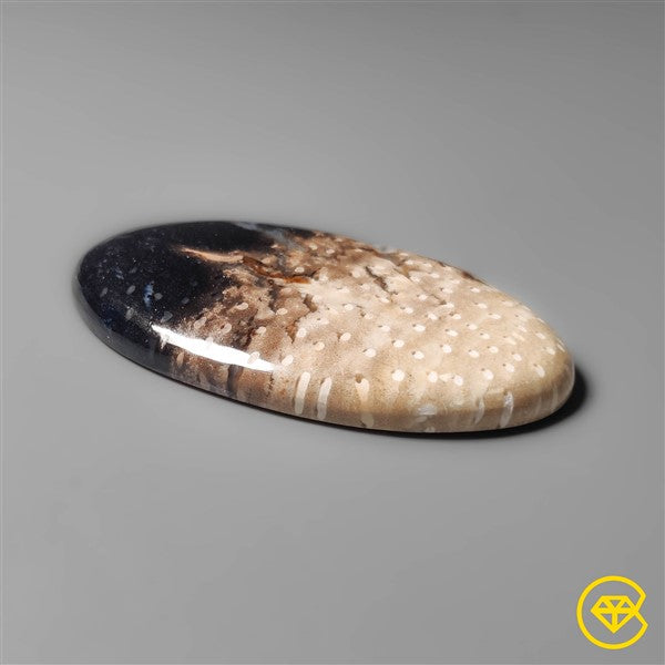 Palmroot Agate