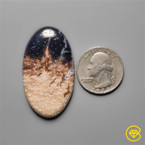Palmroot Agate