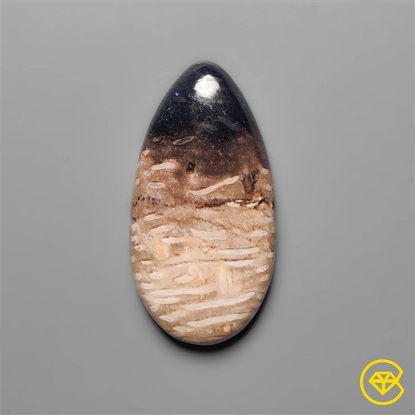 Palmroot Agate