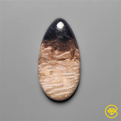 Palmroot Agate
