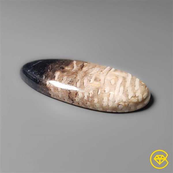 Palmroot Agate