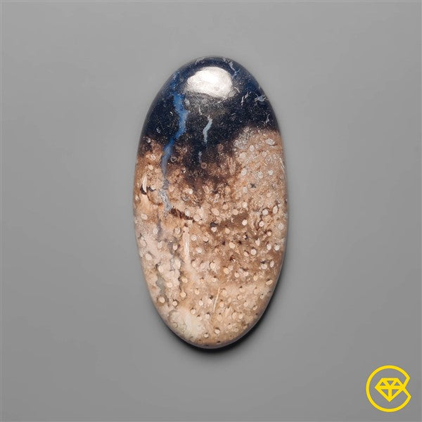Palmroot Agate
