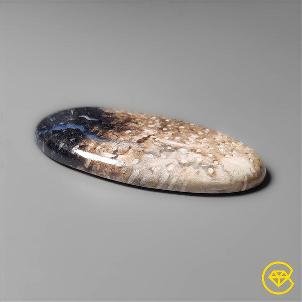 Palmroot Agate