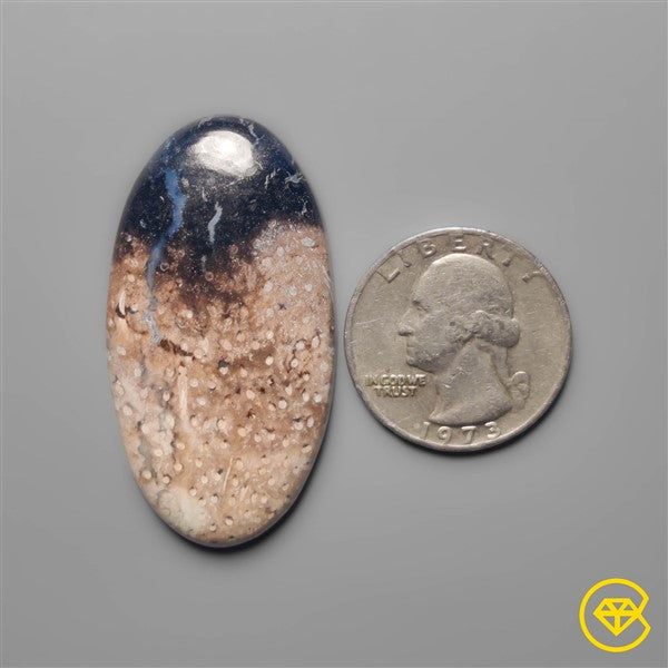 Palmroot Agate
