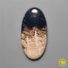 Palmroot Agate
