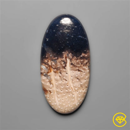 Palmroot Agate