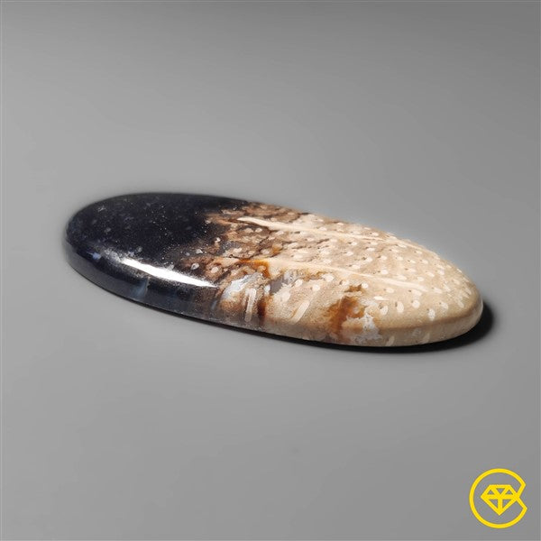 Palmroot Agate