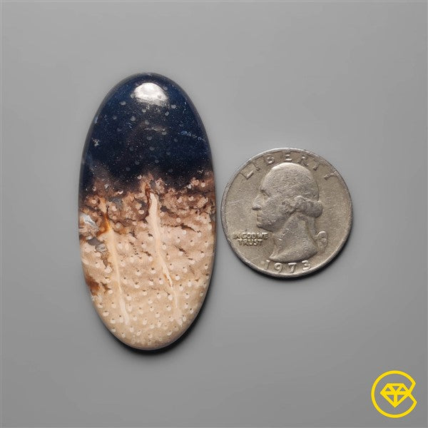 Palmroot Agate