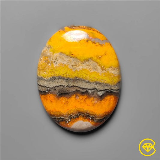 Bumble Bee Jasper