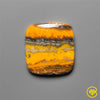 Bumble Bee Jasper