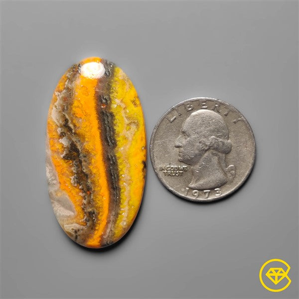 Bumble Bee Jasper
