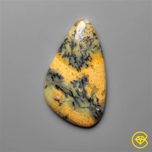 Dendritic Agate