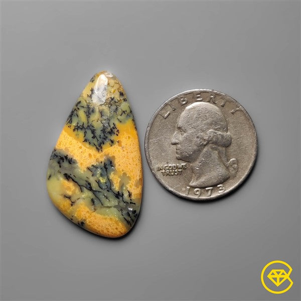 Dendritic Agate