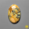 Dendritic Agate