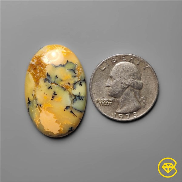 Dendritic Agate