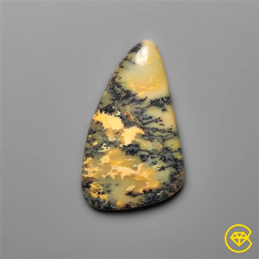 Dendritic Agate