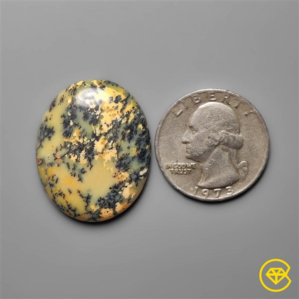 Dendritic Agate