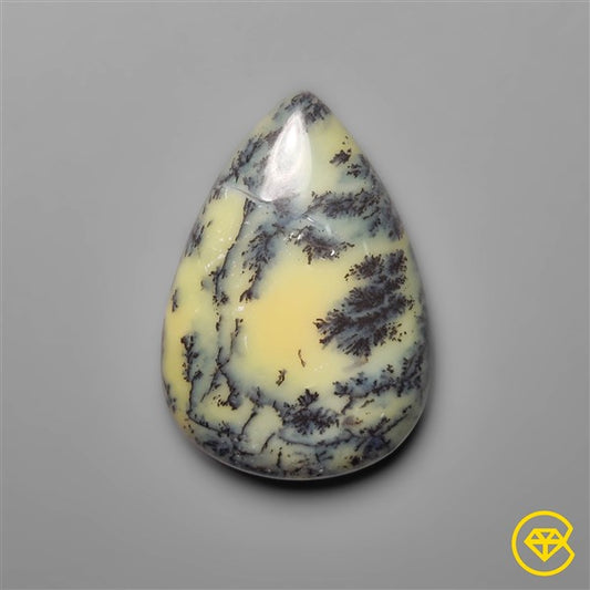 Dendritic Agate