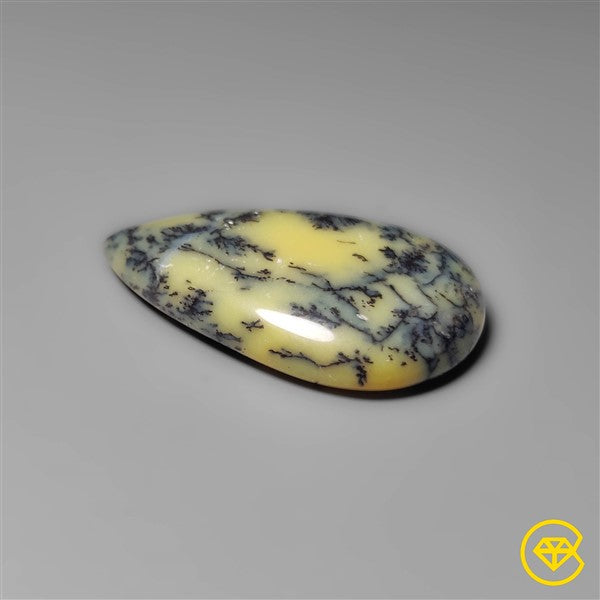 Dendritic Agate