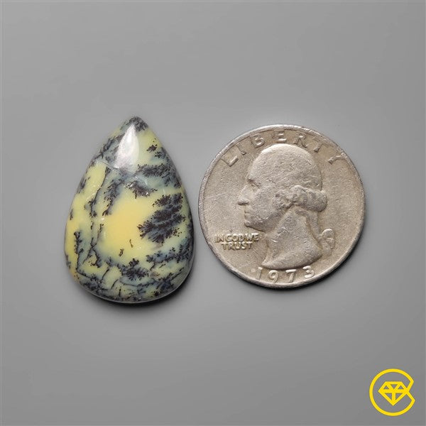 Dendritic Agate