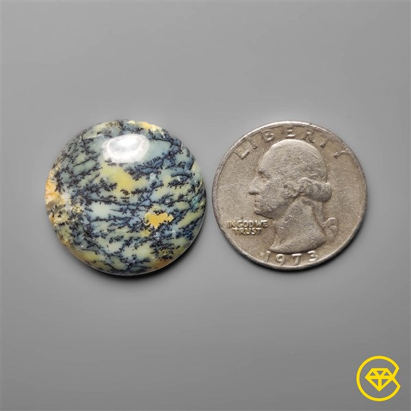 Dendritic Agate